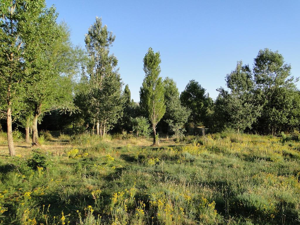 La Casita Del Alberche